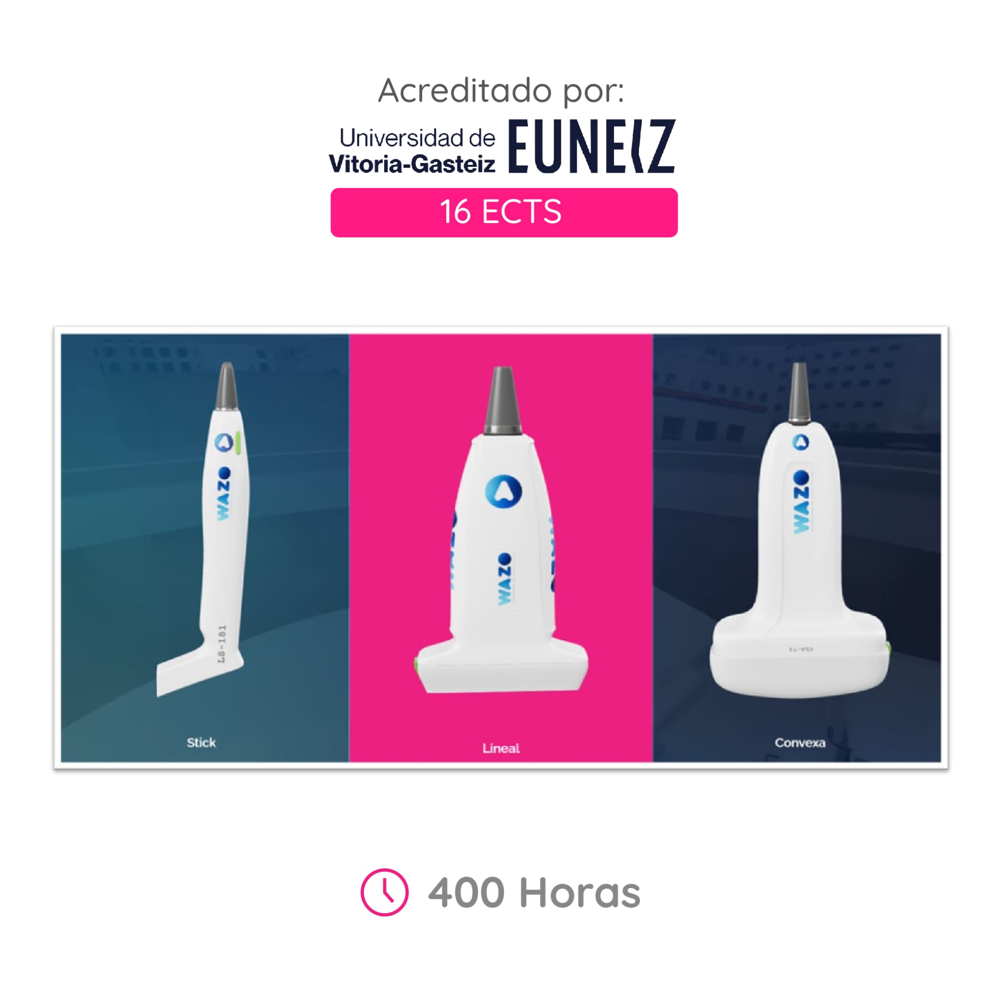 Expertouniversitario img
